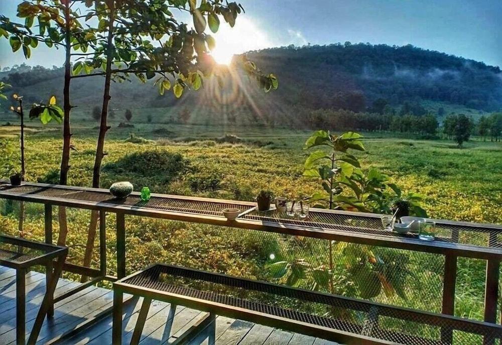 أوكسيجين هومز آند هيلز المنطقة المحيطة بالمنشأة