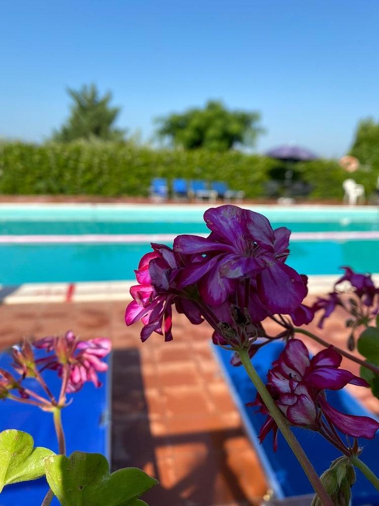 ريزيدينزا كاردينال جيرولامو دي مونتشيلي المنطقة الخارجية