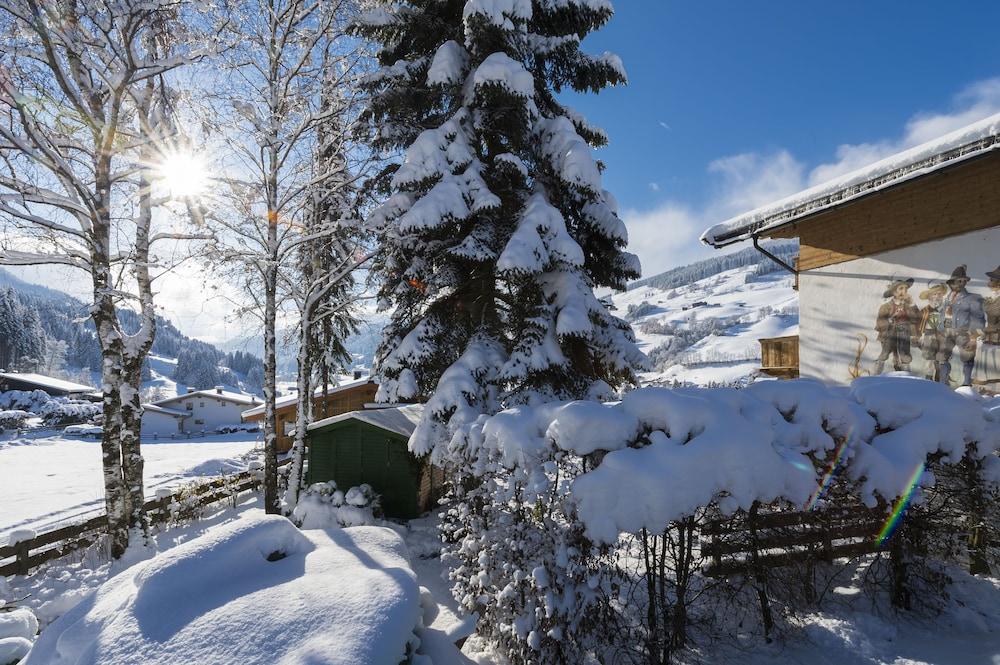 ريزيدنس جوشبيرج باي كيتزبول المنطقة المحيطة بالمنشأة