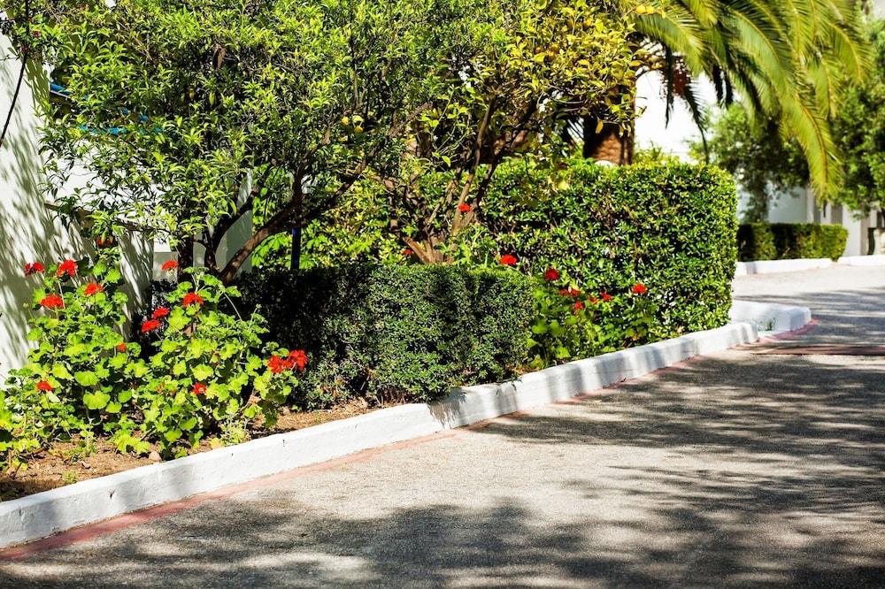 زينيوس بورت مارينا هوتل المنطقة المحيطة بالمنشأة