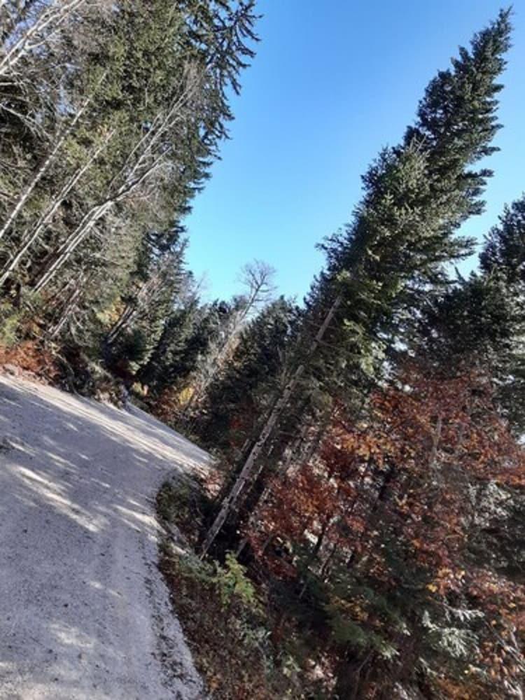 أوبيرج ريفوج دو ريوبون المنطقة الخارجية