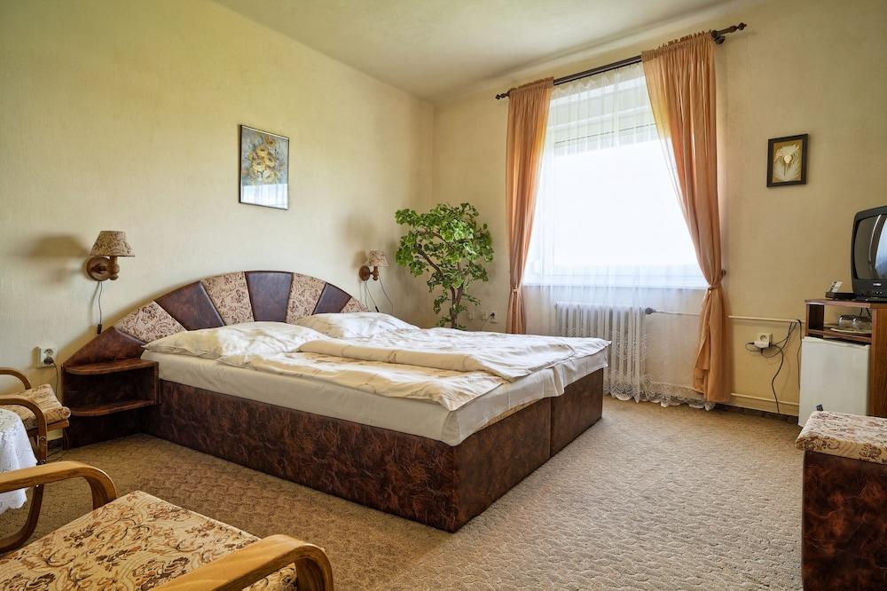 بنزيون بود زفونيم غرفة