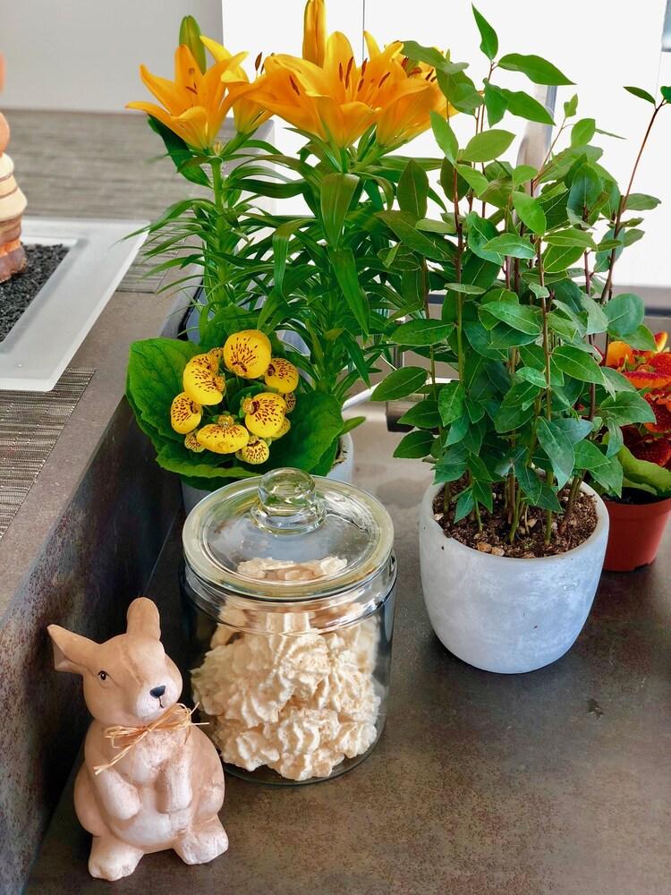 بيرفيكت لايف ستايل ديزاين بوتيك آند برايفات سبا داخلي