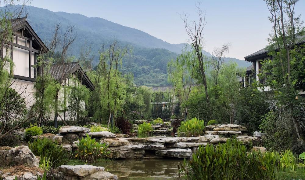 بانيان تري تشونجكينج بيبي المنطقة الخارجية