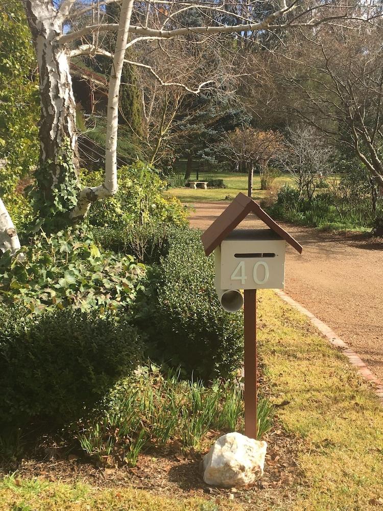 هولي هوك بيد آند بركفاست المنطقة المحيطة بالمنشأة