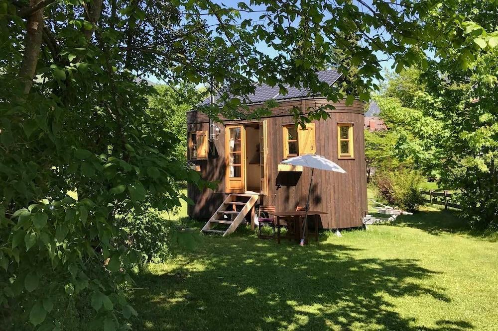 ألمفاجين ماكس آم تيجرنسي