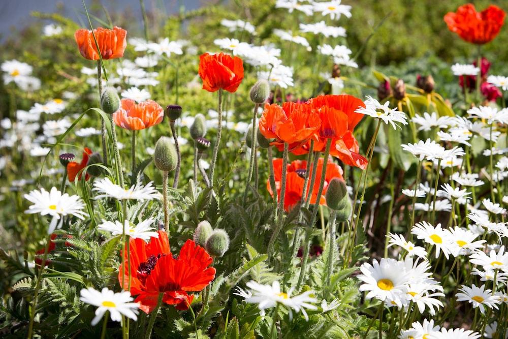 تيمبل هول هوتل تفاصيل الفندق من الداخل