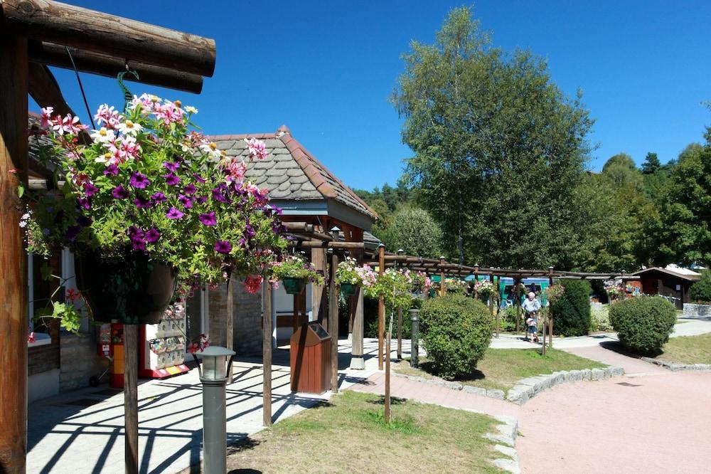 كامبينج لو فايولان