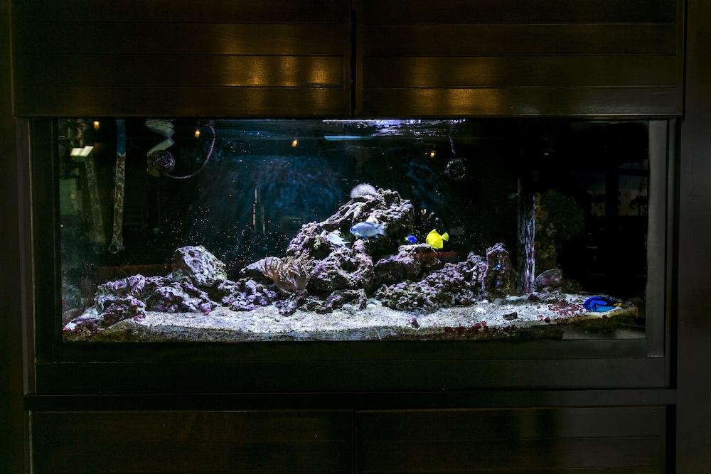 رمادا باي ويندام إيدمونتون يلوهيد نورث ويست منطقة الجلوس في الردهة