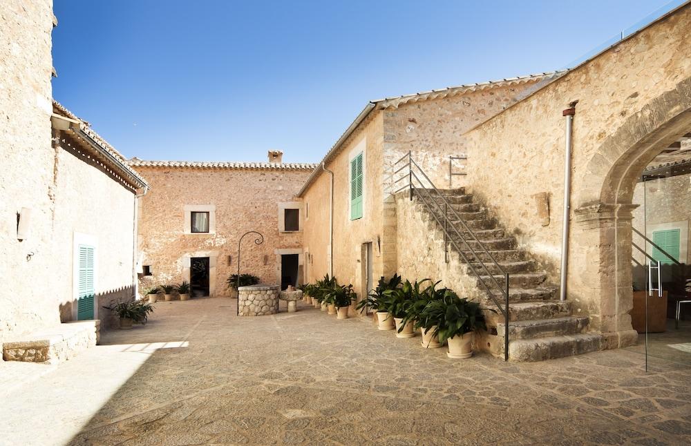 سا كابانا هوتل رورال آند سبا - للبالغين فقط المنطقة المحيطة بالمنشأة