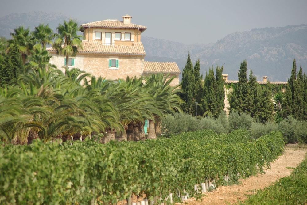 سا كابانا هوتل رورال آند سبا - للبالغين فقط المنطقة الخارجية