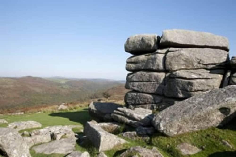 ستنينج 6 بد هاوس ويذ هوج جاردن أون دارت مور المنطقة المحيطة بالمنشأة