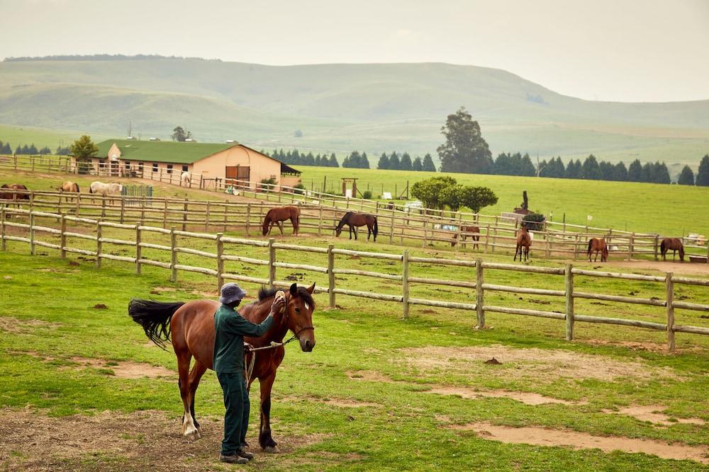 First Group Midlands Saddle and Trout Property Grounds