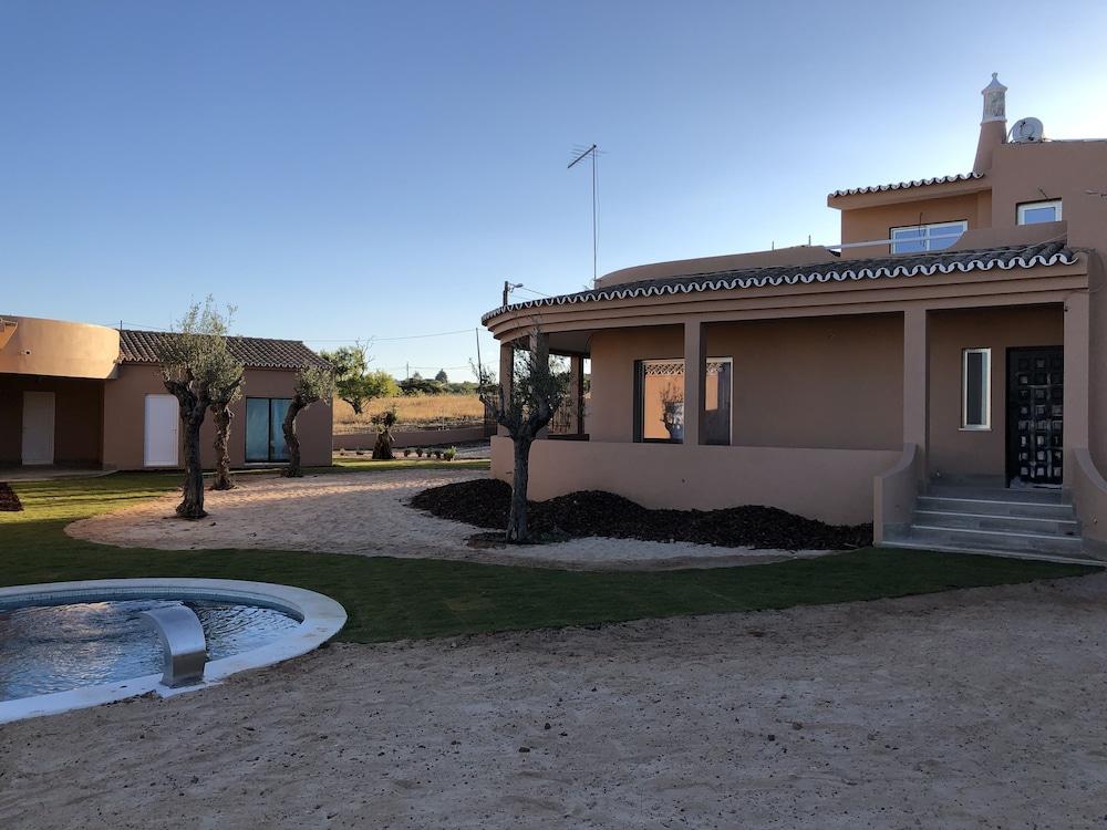 ألاموس ريتريت - ويلنيس يوجا بوتيك المنطقة المحيطة بالمنشأة