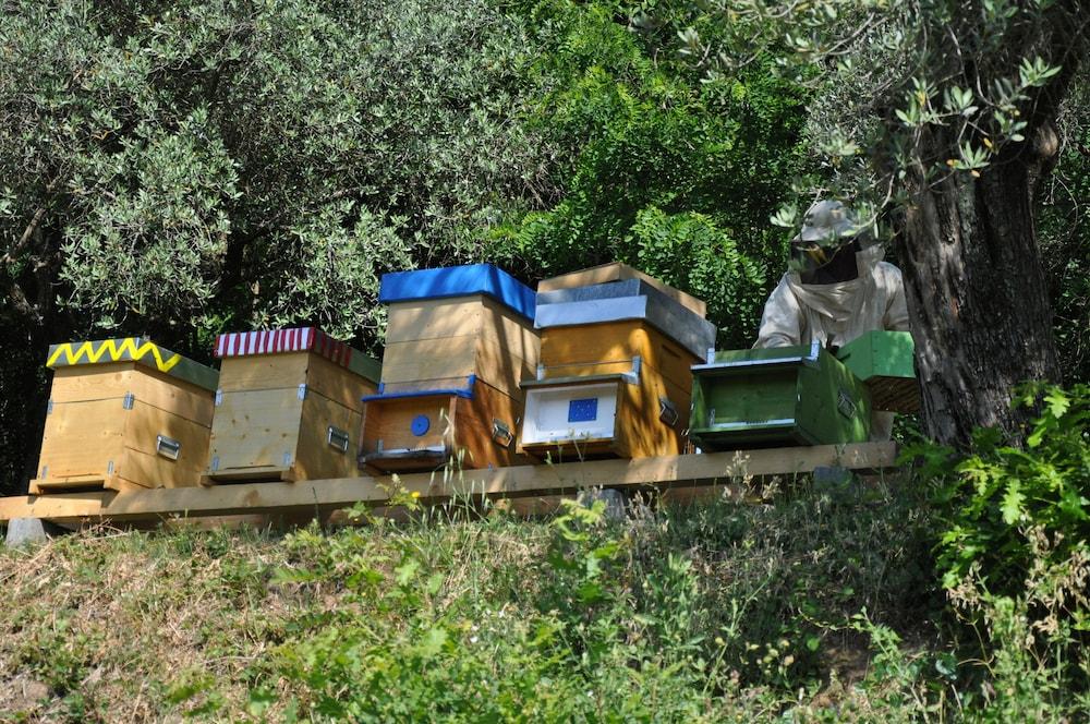بودير لا بيانا المنطقة الخارجية