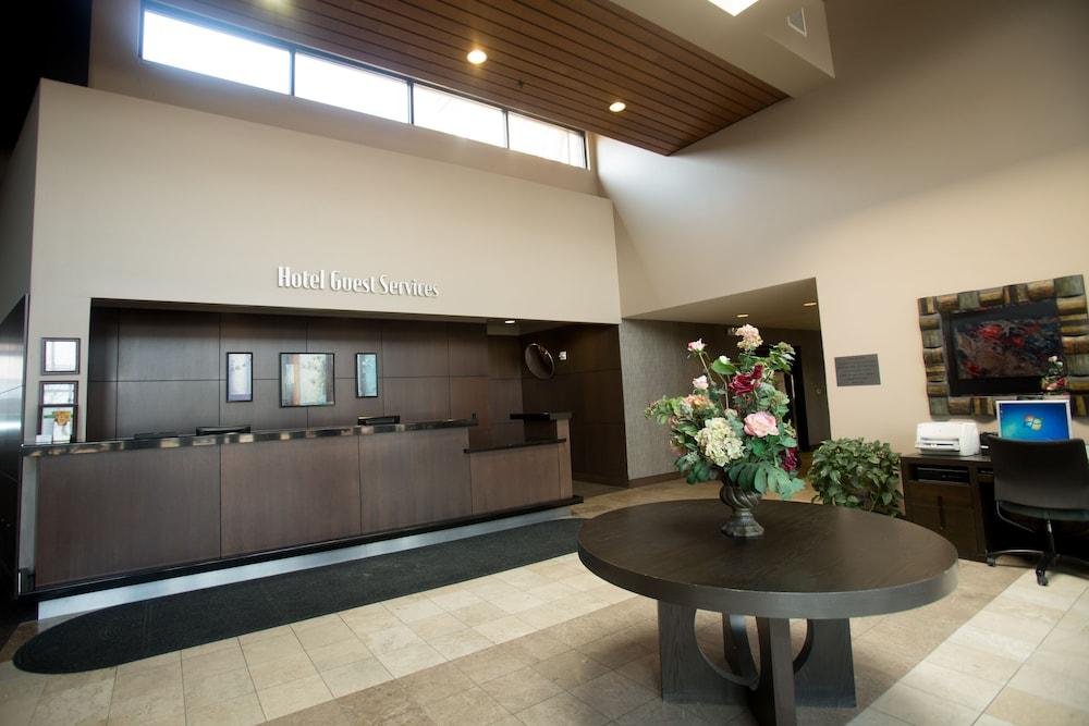 ذا كاتفيش بيند إن آند سبا الردهة