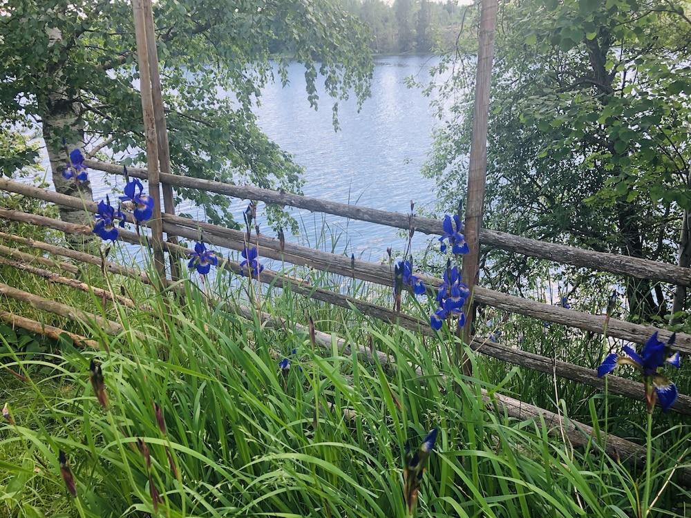 Apple Tree Cabin With River Views Property Grounds