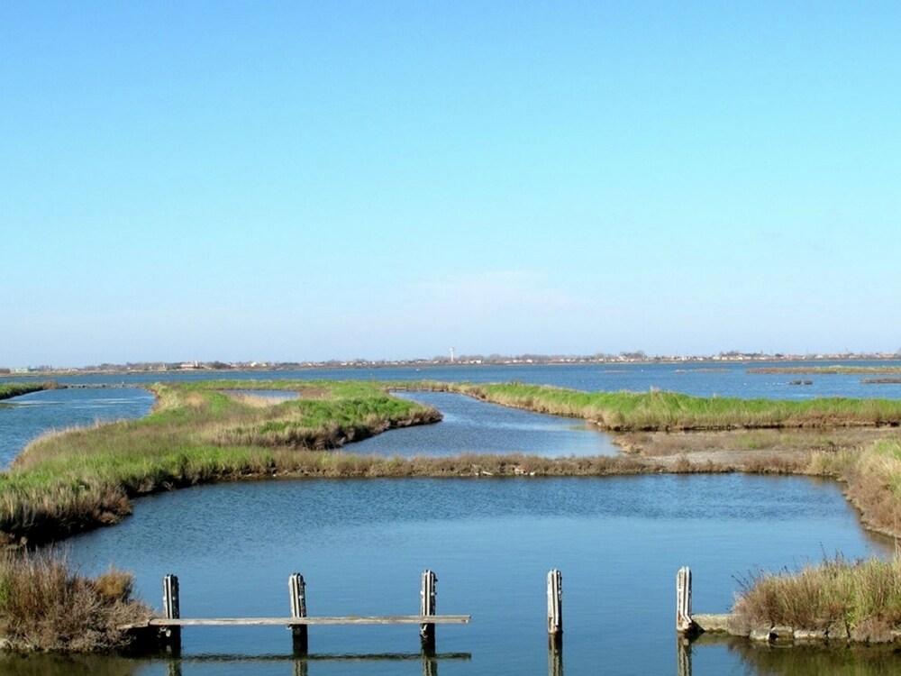 سوندرينشيد هوليداي هاوس، نير ذا بيتش إن روزولينا ميري المنطقة الخارجية