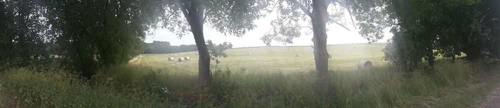 لا فيرمي ديه مولينو دو بايلي المنطقة الخارجية