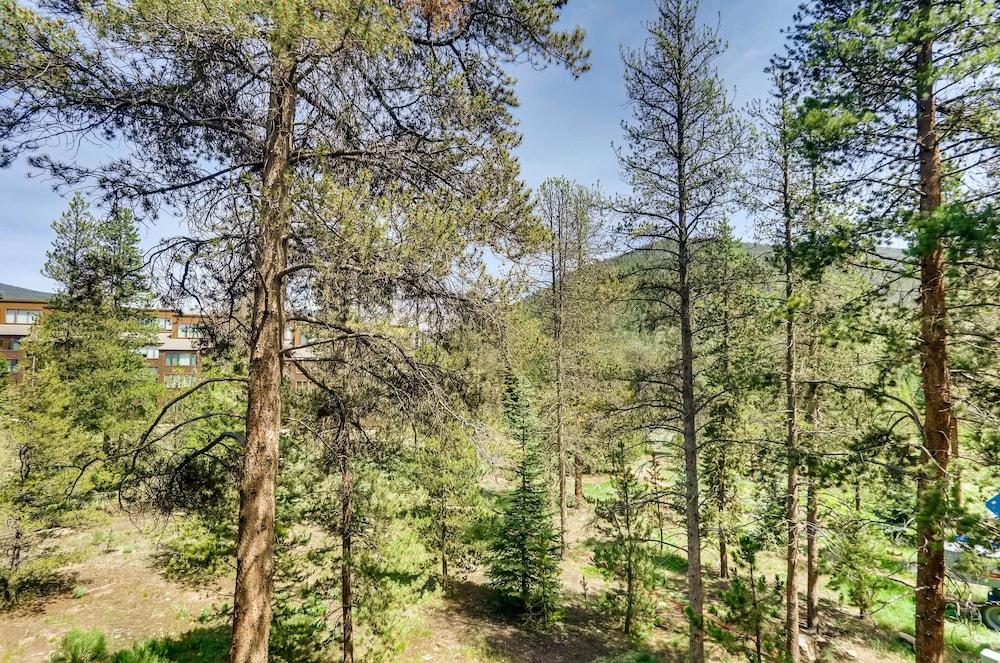 لارج آند أبديتيد 2 بد رومز كوندو + كيدز سكاي فري 2 بد رومز 2 باث رومز كوندو المنطقة المحيطة بالمنشأة