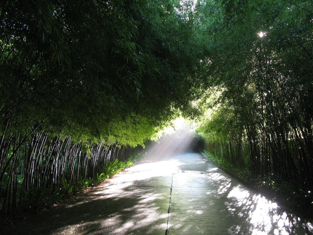 The Pavilions Phuket Property Grounds