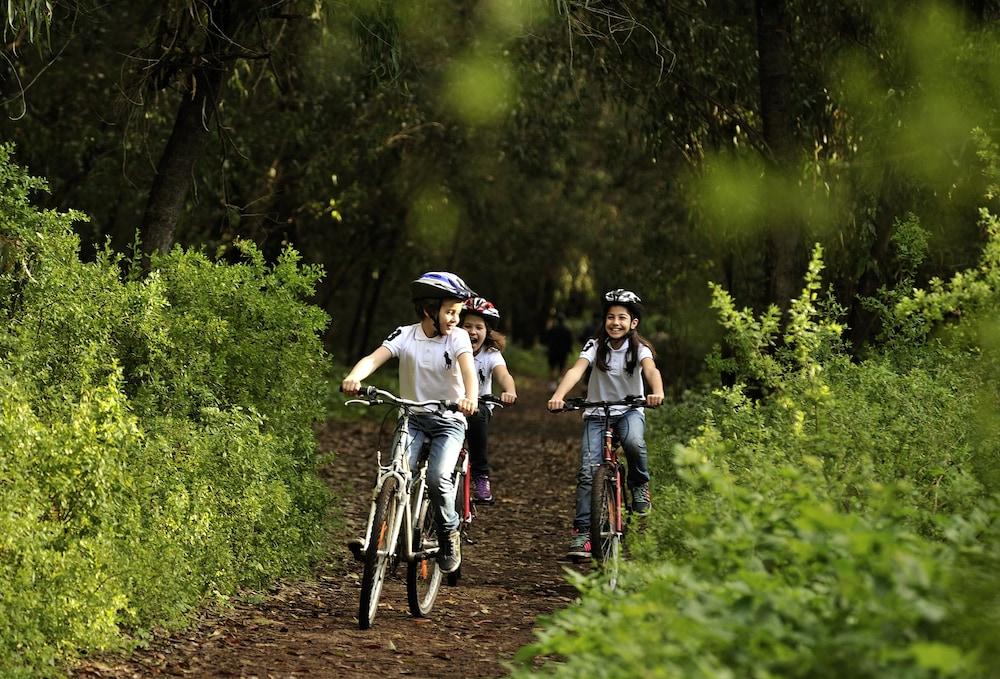 إيبيس مولهاوس إل نابوليون المنطقة الخارجية