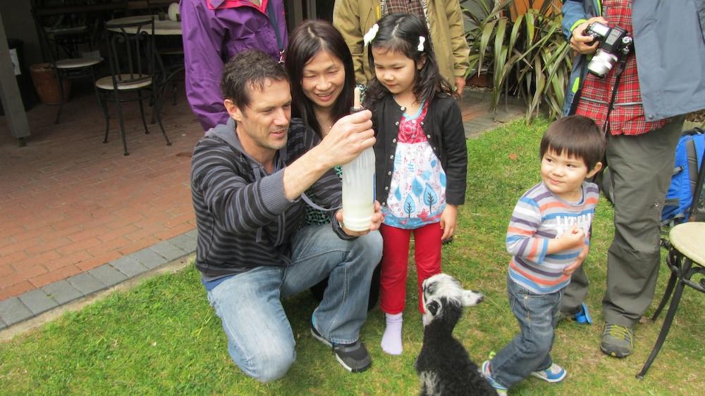 بد آند بريكفاست آت ذا ريد وودز المنطقة الخارجية