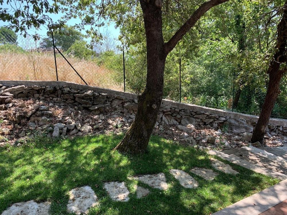 بيد آند بريكفاست I 4 سنتيري المنطقة المحيطة بالمنشأة