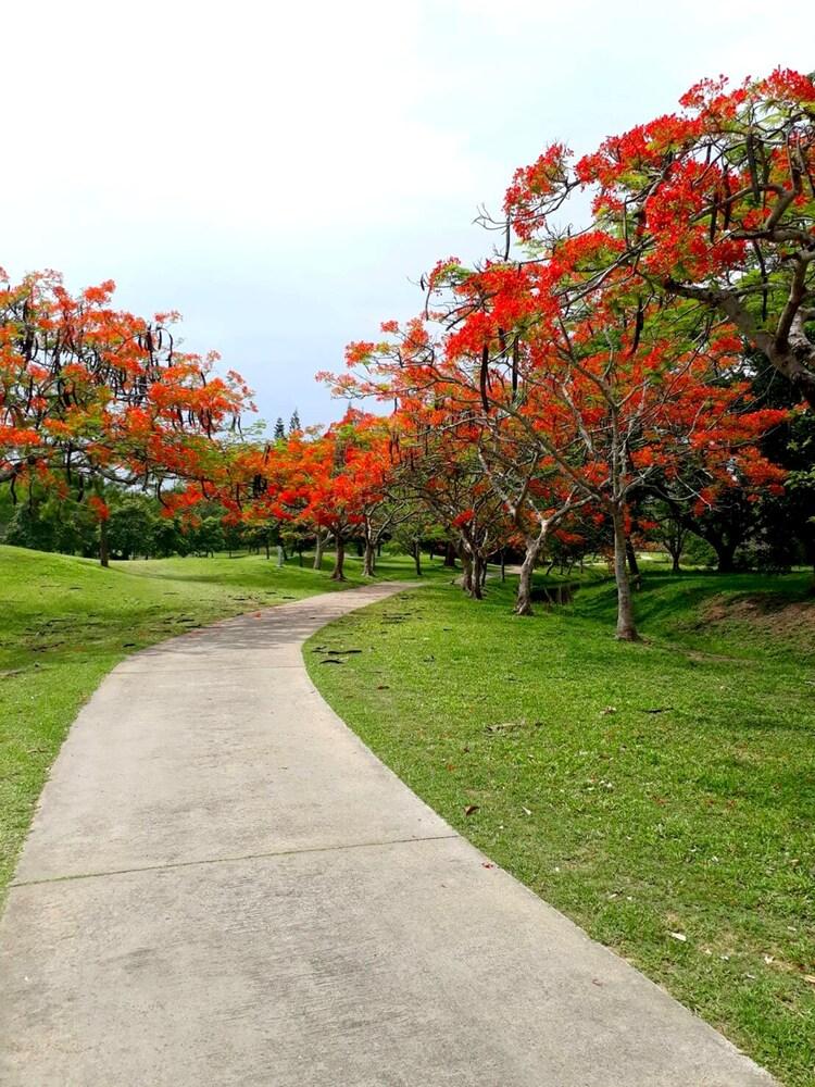 ذا رويال تشيانغماي جولف ريزورت المنطقة الخارجية