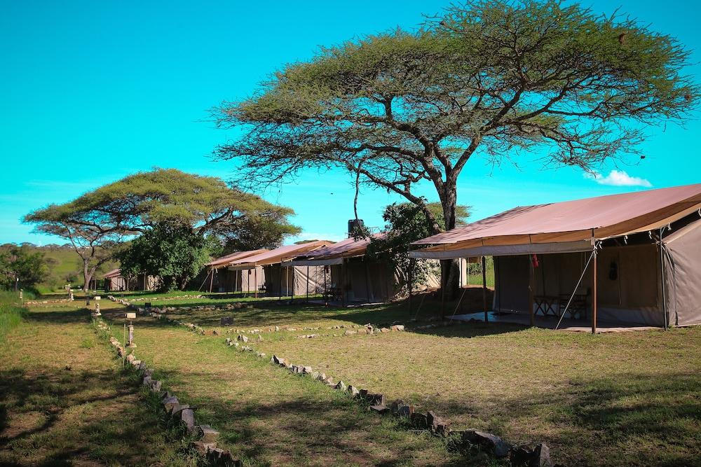 كيسورا سيرنجيتي تنتيد كامب المنطقة الخارجية