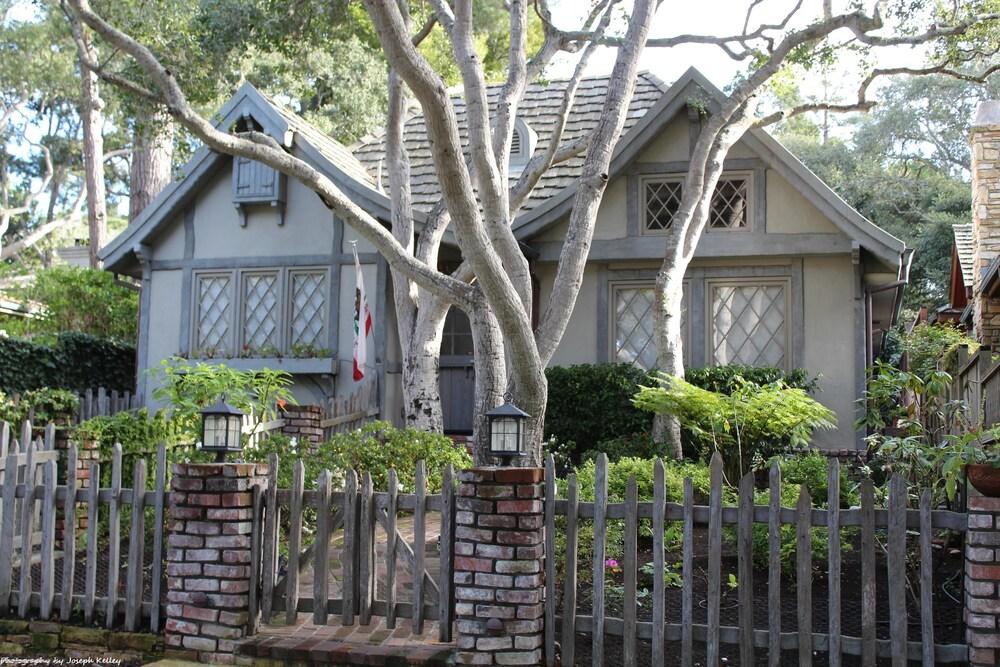 نوبوديز بيرفيكت - إن ذا هارت أوف ذا جولدن ريكتانجل - 5 بلوكس تو بيتش آند تاون نو هيلز! المنطقة الخارجية