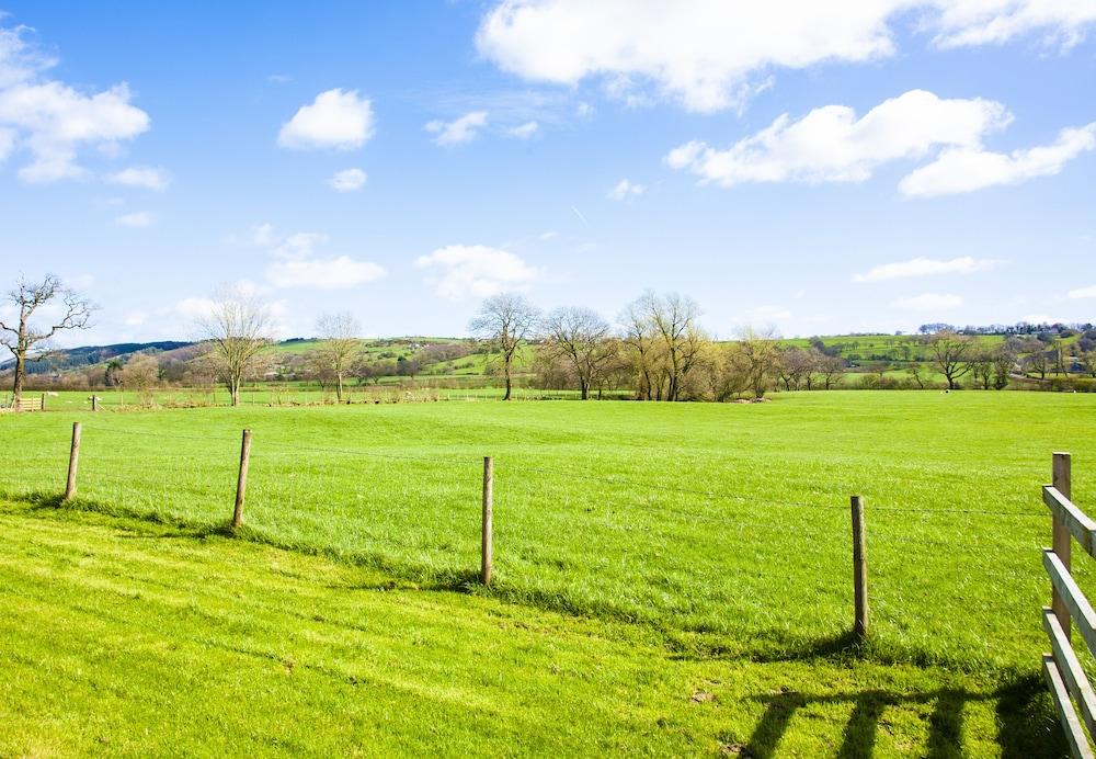 ذا شيبون  هوت توب إيكس يت جي  - سوبركينج لوج فاير المنطقة المحيطة بالمنشأة