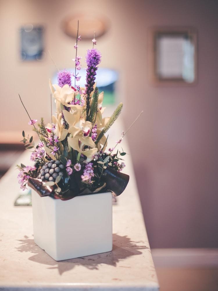 بوين فالي هوتل - بد آند بريكفاست فقط منطقة الاستقبال