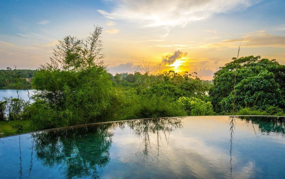 ماستيف جراند بولجودا