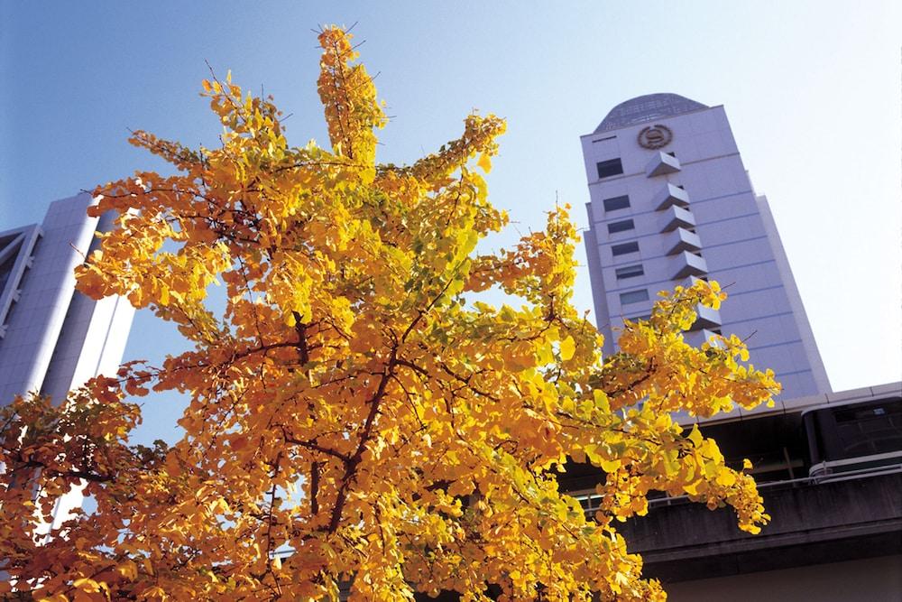 كوبي باي شيراتون هوتل آند تاورز المنطقة الخارجية