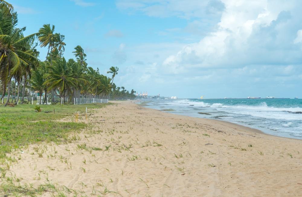 إم إل دبليو 301 سي بينتهاوس مورو ألتو 3 بد رومز الشاطئ