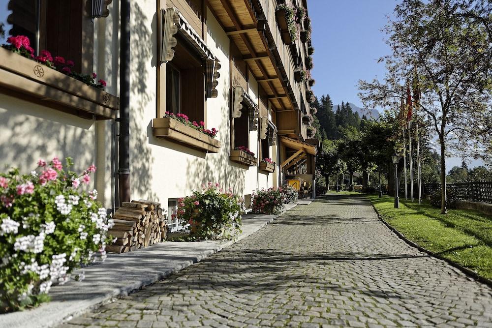 هوتل ألبينروز وينجين المنطقة الخارجية