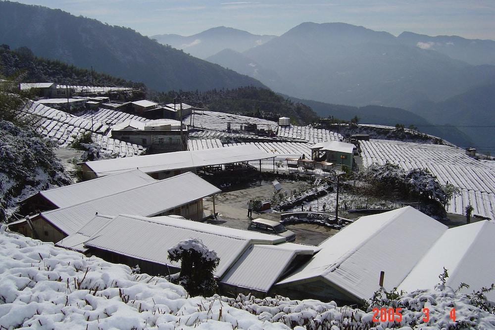 أليشان بي آند بي يونمينجي أليسنيري