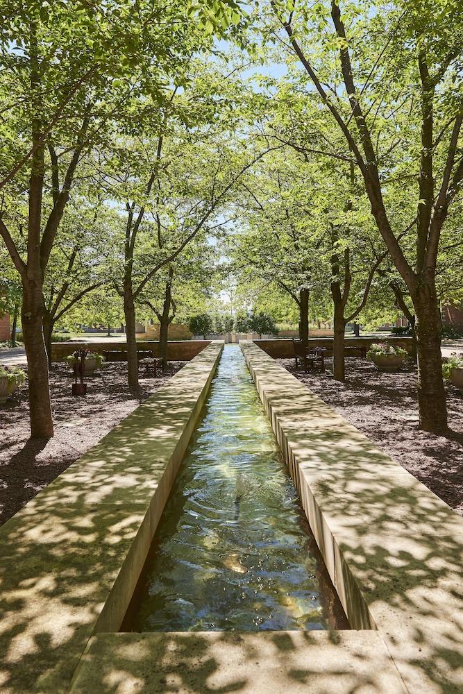 ذا بين ستاتر هوتل آند كونفرانس سنتر المنطقة المحيطة بالمنشأة