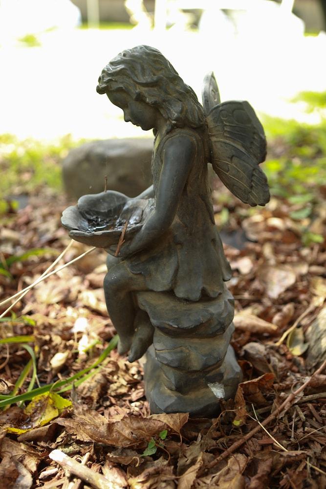 وودستوك إن بي آند بي المنطقة الخارجية