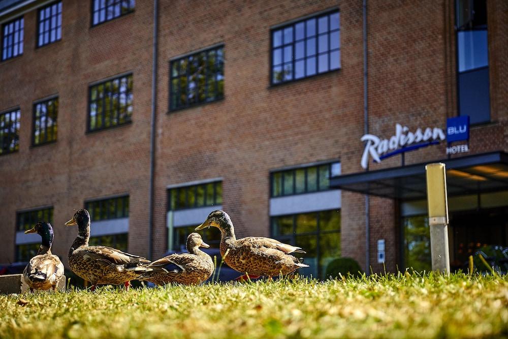 راديسون هوتل بابيرفابريكين سيلكيبورج المنطقة الخارجية