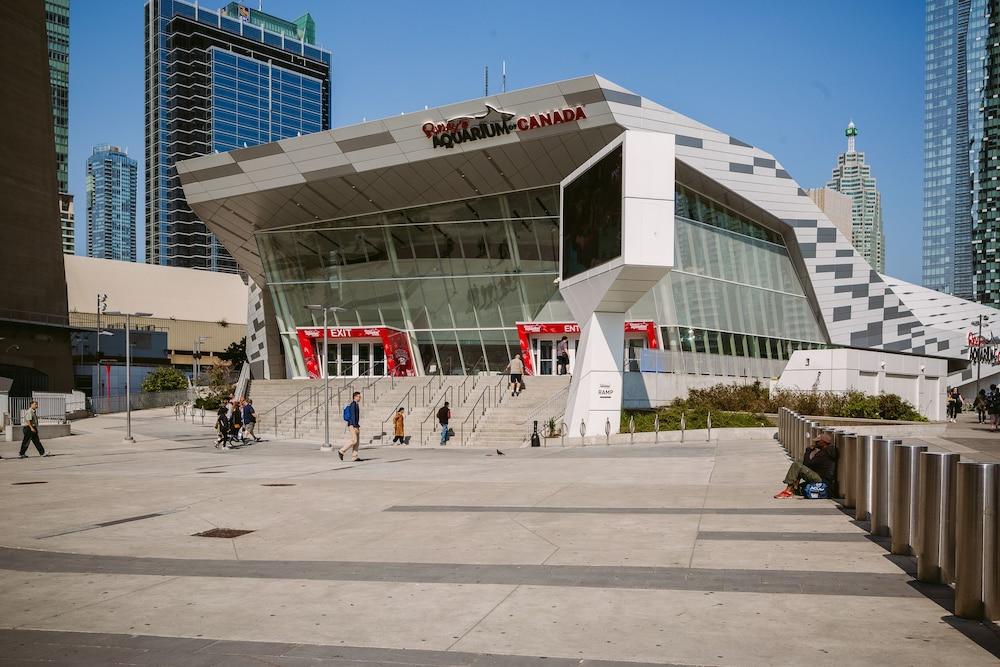 كويك ستاي يونغ آند بلور إكزكيوتيف يوركفيل كوندو المنطقة الخارجية