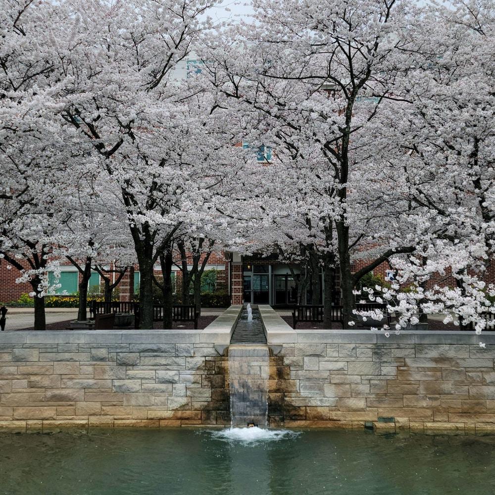 ذا بين ستاتر هوتل آند كونفرانس سنتر المنطقة الخارجية