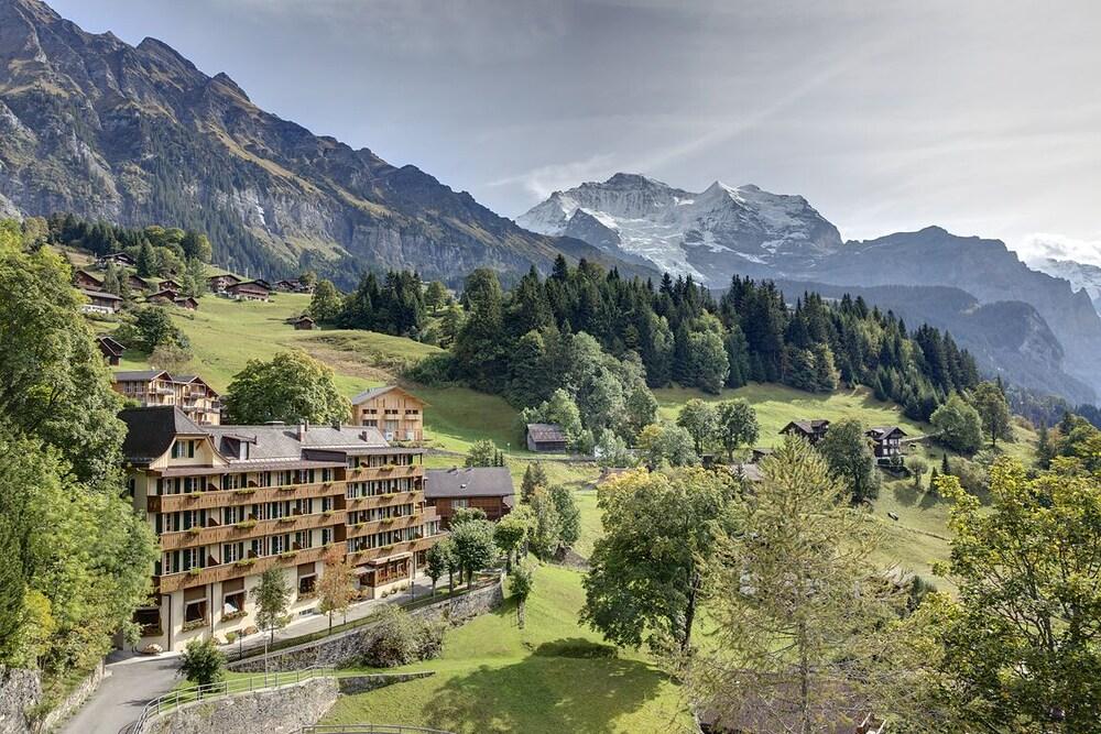 هوتل ألبينروز وينجين المنطقة الخارجية