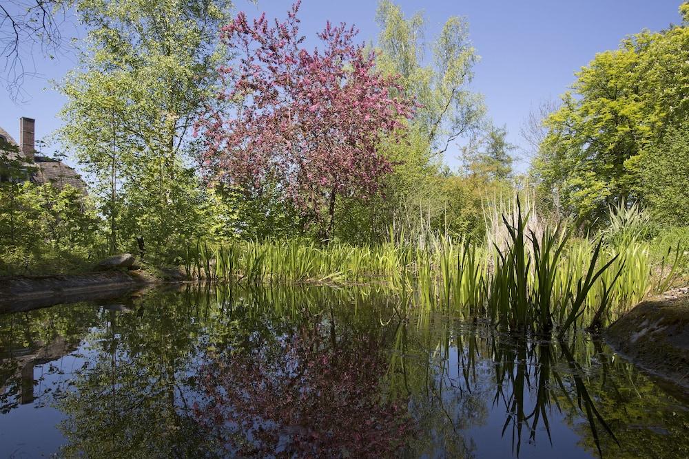 باركهوتل سي يو بي فيتاليس - للبالغين فقط المنطقة المحيطة بالمنشأة