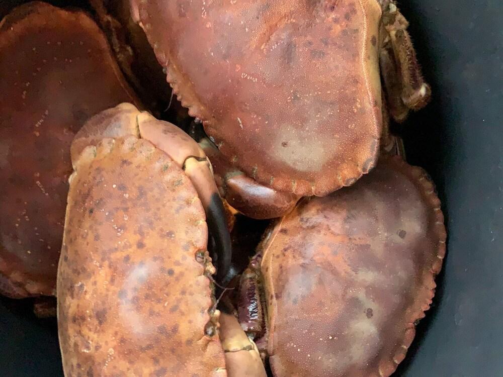 4 بيرسون هوليداي هوم إن تيلستو المنطقة الخارجية