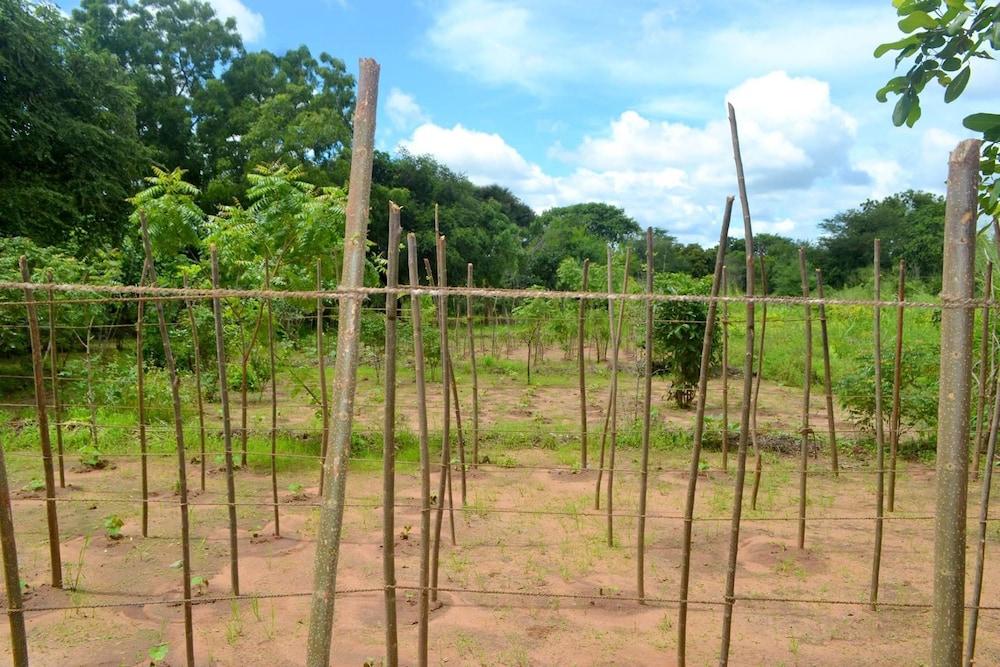 ويلباتو ديلسارا هوليداي ريزورت المنطقة المحيطة بالمنشأة