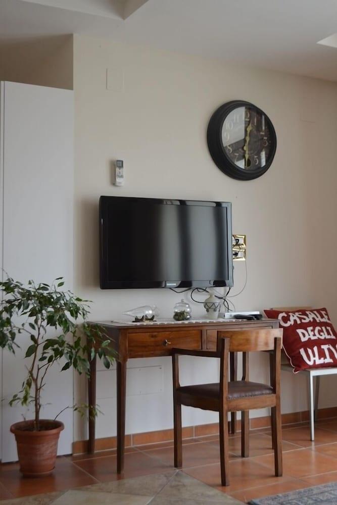 كازالي ديلي يوليفي