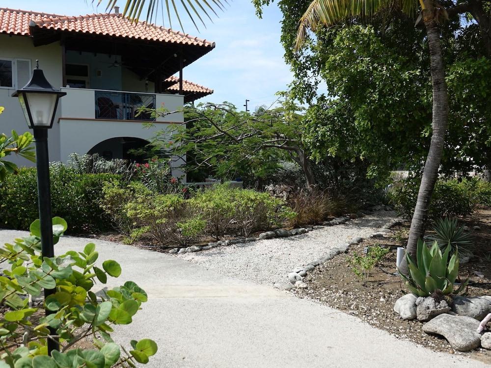 ستنينج أبارتمنت إن بلنيم ويذ برايفت تيراس الصورة الأساسية