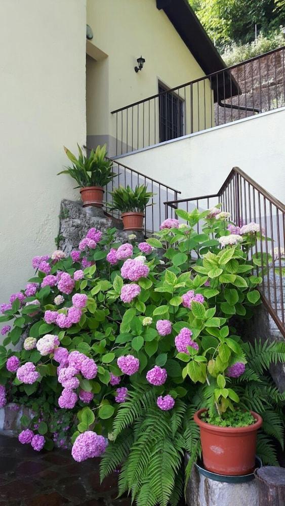 بد آند بريكفاست إل بوجيو المنطقة الخارجية